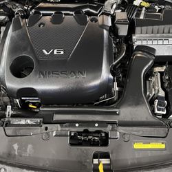 Auto Performance & Detailing