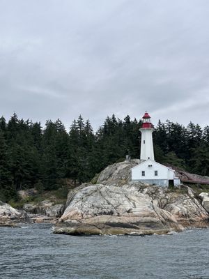 Prince of Whales - Whale & Marine Wildlife Adventures Vancouver by null