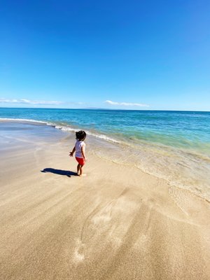 Olowalu Beach by null
