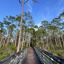 Tarkiln Bayou Preserve