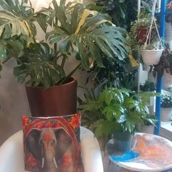 Urban Jungle of Regent Square