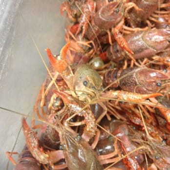 Fiesta Mart #60 - Crawfish - Grocery Near Me - Arlington, Texas Fiesta Mart #60 - Crawfish - Grocery Near Me - Arlington, Texas