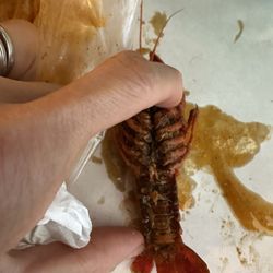 Seafood Boil