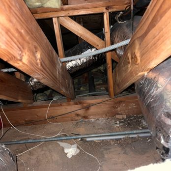 The Attic Cats - Before - Pest Control Near Me - San Fernando Valley, California The Attic Cats - Before - Pest Control Near Me - San Fernando Valley, California