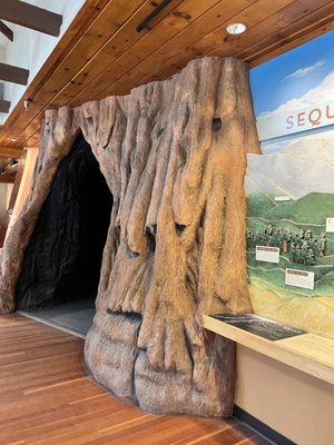 Giant Forest Museum by null