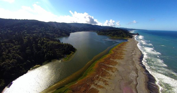 Redwood Adventures by null