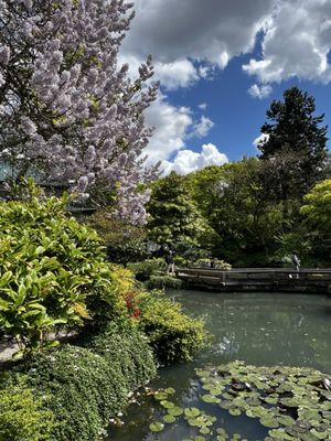 Dr. Sun Yat-Sen Classical Chinese Garden by null