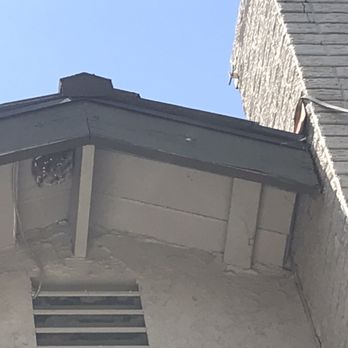 Bee Gone Bee Removal Service - Pest Control Near Me