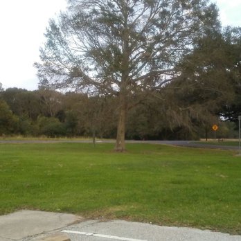 Brazos Bend State Park - Parks Near Me - Needville, Texas Brazos Bend State Park - Parks Near Me - Needville, Texas