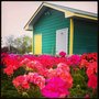 Photo of Carolina Farmers Market