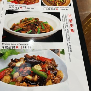 Hunan Chef - a menu for a chinese restaurant - Chinese Near Me - Frisco, Texas