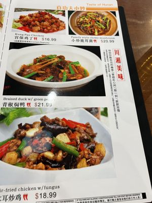 Hunan Chef by null