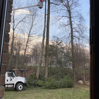 JLO Tree Service - Tree Services Near Me