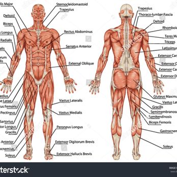 Durga Method - Naturopathic/Holistic Near Me Durga Method - Naturopathic/Holistic Near Me