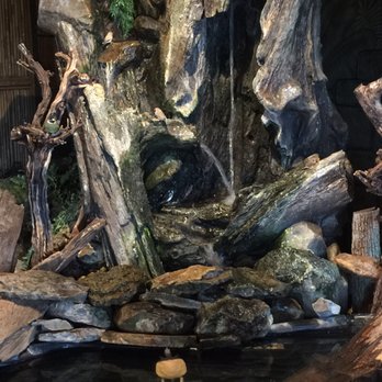 Bird Kingdom - Zoos Near Me - Niagara Falls, Ontario