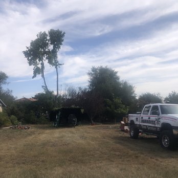 Paradise Tree Service - Almost done. - Tree Services Near Me - Nipomo, California