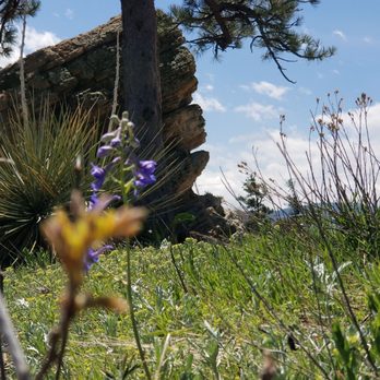 Dinosaur Ridge - Museums Near Me - Morrison, Colorado Dinosaur Ridge - Museums Near Me - Morrison, Colorado