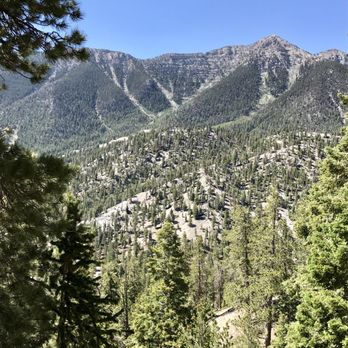 Bristlecone Trail - Lee Canyon - Hiking Near Me - Mount Charleston, Nevada