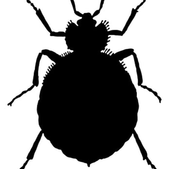Aardvark Exterminating - Athens Pest Control - Pest Control Near Me - Athens, Georgia Aardvark Exterminating - Athens Pest Control - Pest Control Near Me - Athens, Georgia