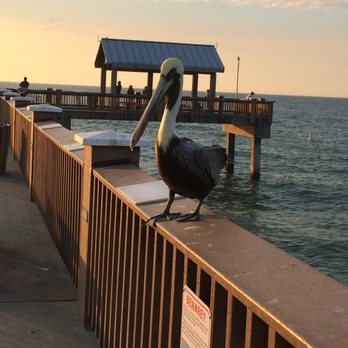 Sunsets at Pier 60 - Festivals Near Me - Clearwater, Florida Sunsets at Pier 60 - Festivals Near Me - Clearwater, Florida