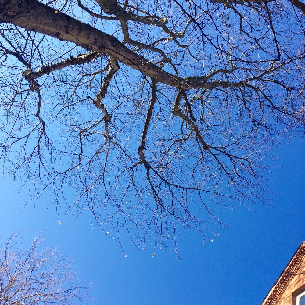 Blue sky in Belfast! Nice to sit outside in the sun... Blue sky in Belfast! Nice to sit outside in the sun...