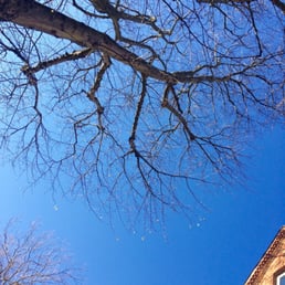 Blue sky in Belfast! Nice to sit outside in the sun...