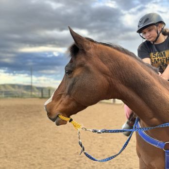 Shamrock T Ranch - Arena, my horse Indy - Horseback Riding Near Me - Agua Dulce, California Shamrock T Ranch - Arena, my horse Indy - Horseback Riding Near Me - Agua Dulce, California