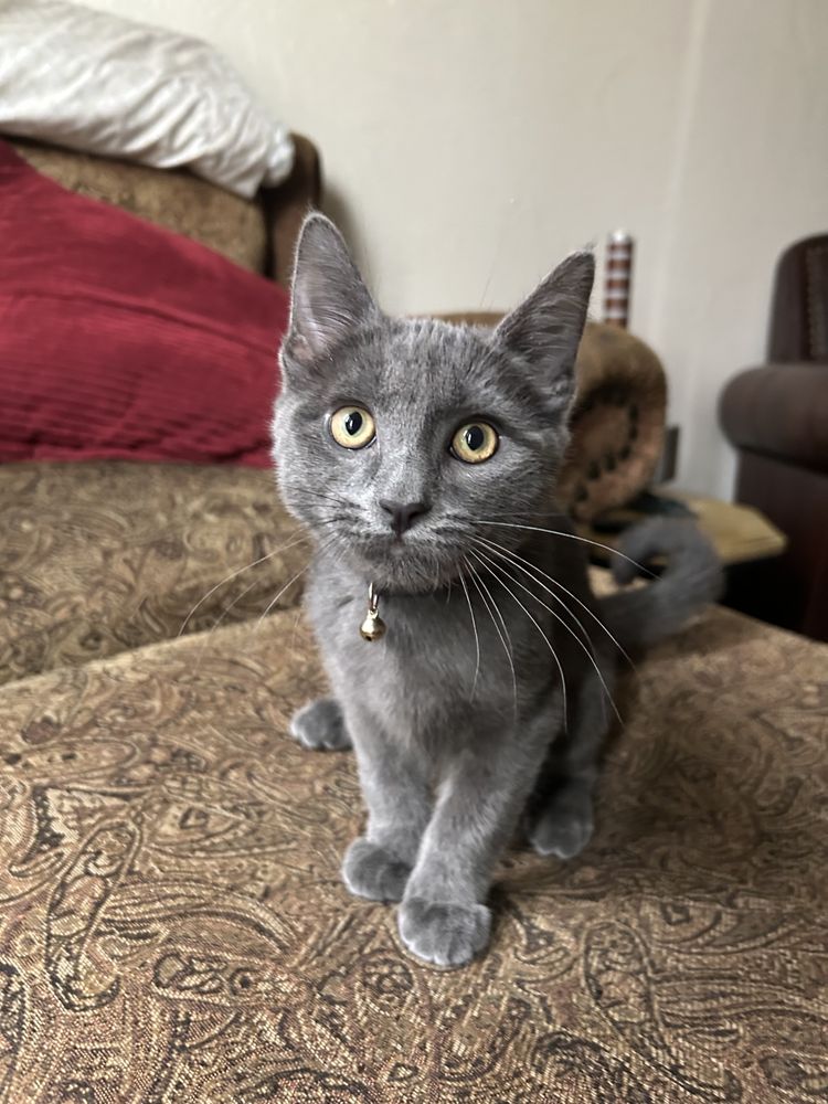 Lydia's Nannying Babysitting - childcare center in Eugene, OR