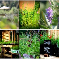 Hendrewennol - Plant Nursery at Hendrewennol