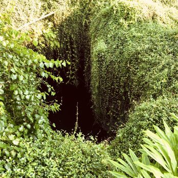 Devil's Den Prehistoric Spring - Picture of the devils den cavern from the outside - Scuba Diving Near Me - Williston, Florida Devil's Den Prehistoric Spring - Picture of the devils den cavern from the outside - Scuba Diving Near Me - Williston, Florida