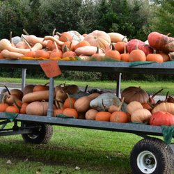 Long Island Wine Tours