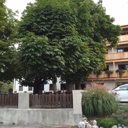 Familien-Wirtshaus Stern