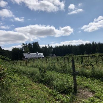 Morning Shade Farm - a view of the farm from the side of the road - Fruits & Veggies Near Me - Canby, Oregon Morning Shade Farm - a view of the farm from the side of the road - Fruits & Veggies Near Me - Canby, Oregon