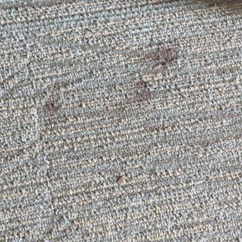 Cherry Tree Inn & Suites - Stains on carpet - Hotels Near Me - Traverse City, Michigan Cherry Tree Inn & Suites - Stains on carpet - Hotels Near Me - Traverse City, Michigan