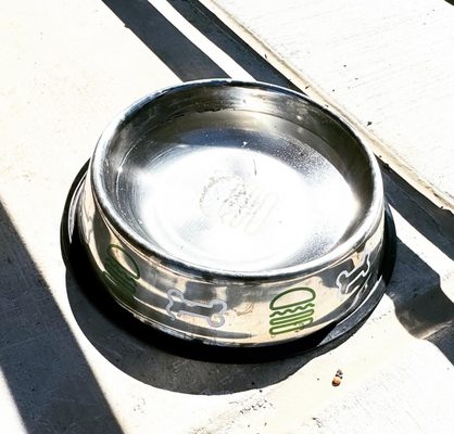 Shake Shack Round Rock by null