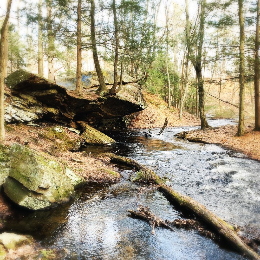 MOWRY CONSERVATION AREA - Updated December 2024 - 47 Photos - Old Forge