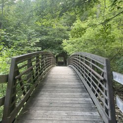 Sycamore Park