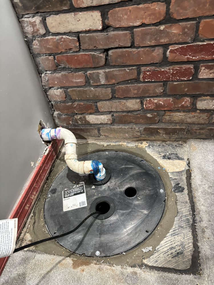 Slide of Rodri’s Rooter