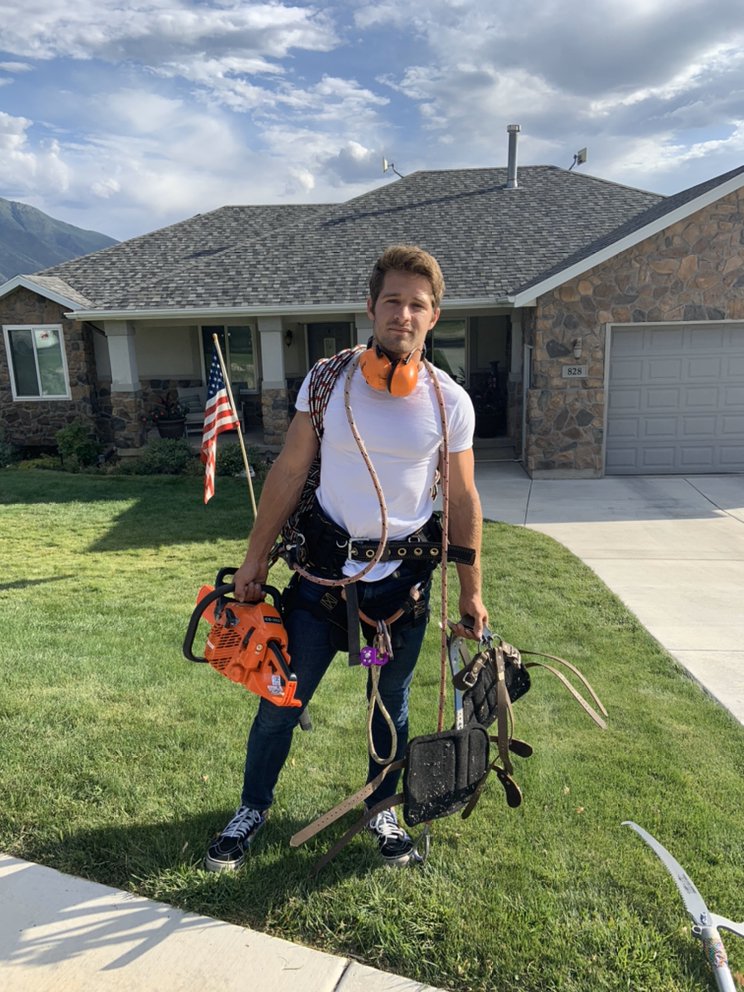 Baer Tree Care - tree service in Provo, UT