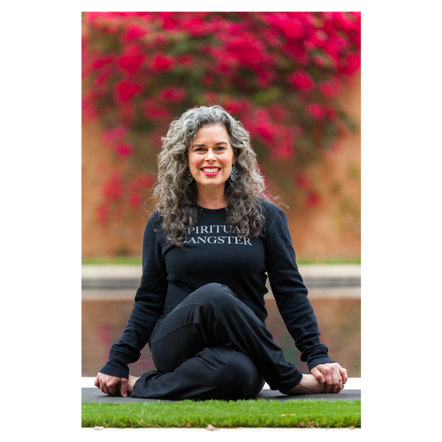 Vital Medicine for the Soul Logo