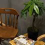 Photo of Lily’s Roasters