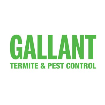 Gallant Termite & Pest Control - Pest Control Near Me - Rancho Cucamonga, California Gallant Termite & Pest Control - Pest Control Near Me - Rancho Cucamonga, California