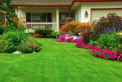 Lawn Care & Maintenance - BlackSheep Landscapes will provide  include grass and hedge trimming, fertilizer application, weed control, and occasional planting. We have a well trained staff that  Know what it takes to make your property look great.

JOB RESPONSIBILITIES
1. Use a lawn mower, sod cutters, and other tools to trim grass and edge lawn areas
2. Apply seed, fertilizer, herbicides, and insecticides to lawns
3. Maintain and water plants, flower beds, and underlying soil on clients lawns
4. Operate backpack blower and gather leaves, hedge trimmings, and debris for removal
5. Use pruners and trimmers to remove shrub and tree overgrowth
6. Plant flowers, shrubs, trees, and turf as requested by client

WE ARE VETERAN OWNED AND OPERATED- Call today and have one of our lawn care experts come out and give you a an honest bid...at an honest price!