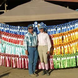 JKK Performance Horses & Mules