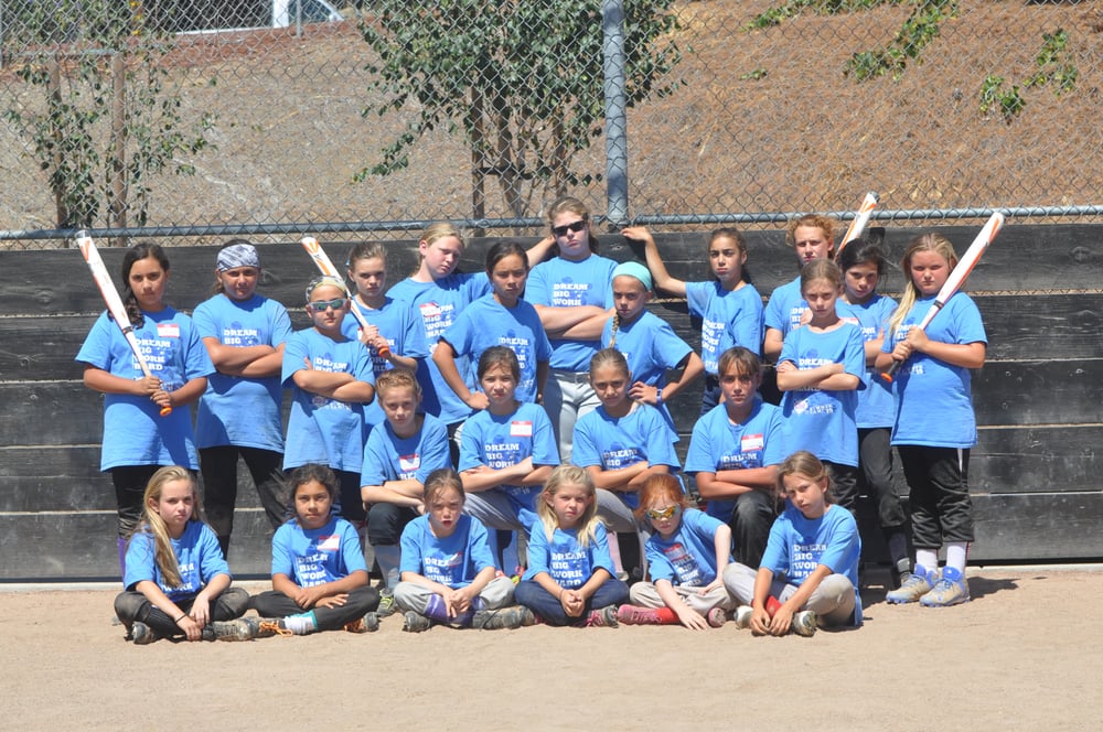 Premiere Softball Academy Logo