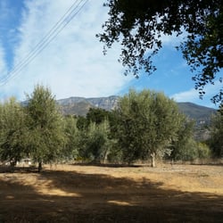Ventura County Fire Station - Fire station view