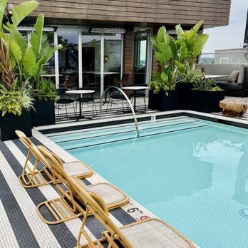 Videre - Pool - Bars Near Me - Los Angeles, California