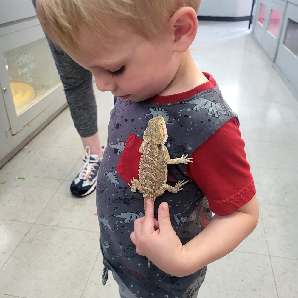 La Habra Pets - Reptile Shops Near Me - La Habra, California La Habra Pets - Reptile Shops Near Me - La Habra, California