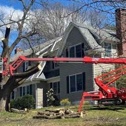 Knock on Wood Tree Service