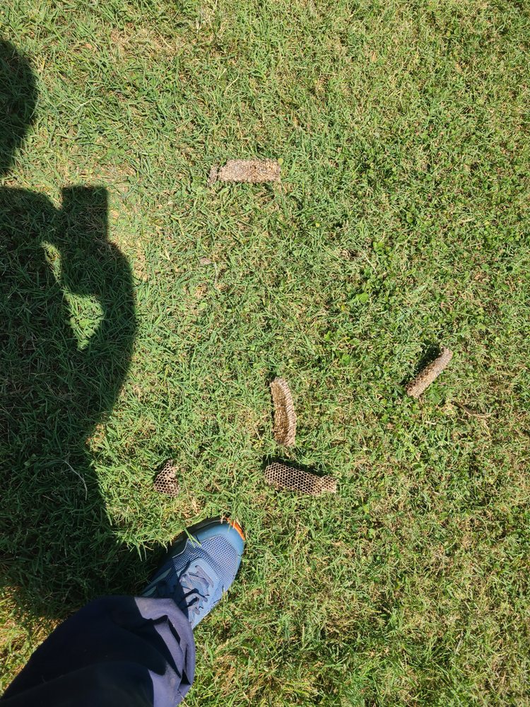 Slide of Big D's Property Maintenance